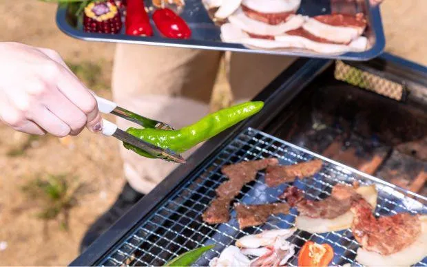 A stone’s throw from Kansai Airport: Seaside cycling and marine activity tour in Misakicho