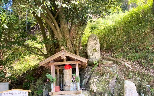 以池田的大自然療癒心靈，盆栽和寺院的體驗之旅