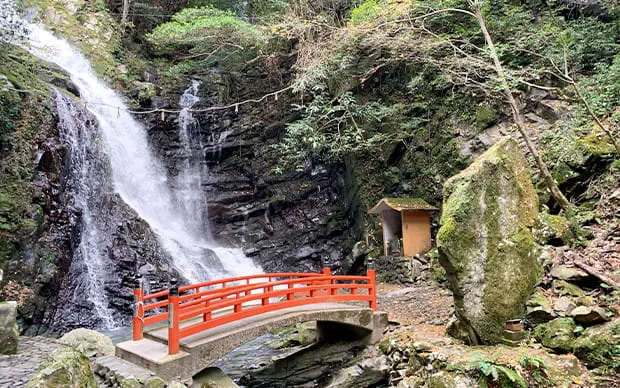犬鸣山 七宝泷寺内省吾身 护摩祈祷体验