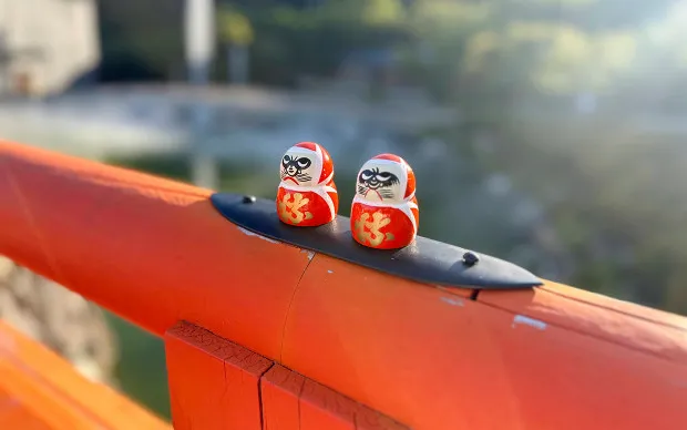 箕面的绝景和让身心灵平静的瑜伽体验旅游