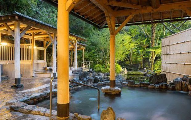 以池田的大自然療癒心靈，盆栽和寺院的體驗之旅