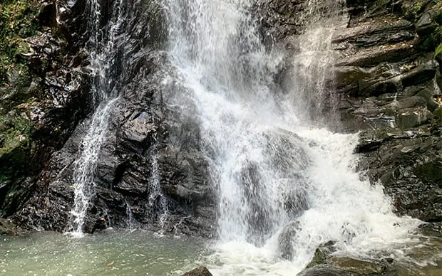 犬鸣山 七宝泷寺内省吾身 护摩祈祷体验
