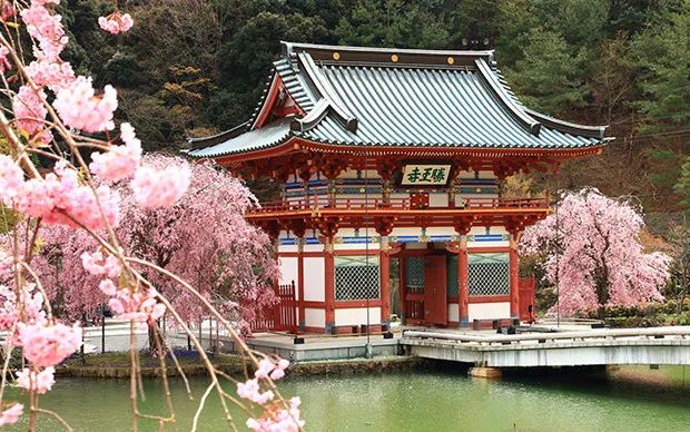 Minoh Waterfall Hiking & Katsuoji Temple Tour