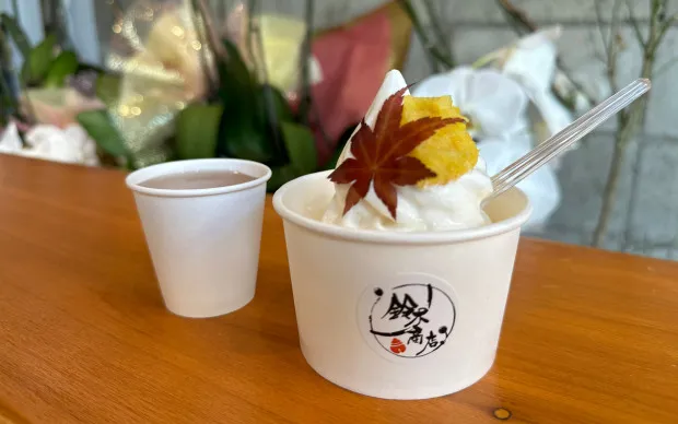 Minoh Waterfall Hiking & Katsuoji Temple Tour