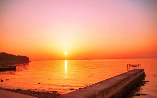 A stone’s throw from Kansai Airport: Seaside cycling and marine activity tour in Misakicho