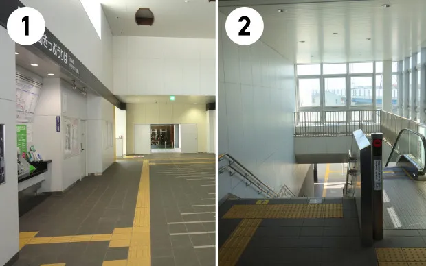 Sumo experience in a real Dohyo arena!