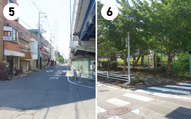 Sumo experience in a real Dohyo arena!