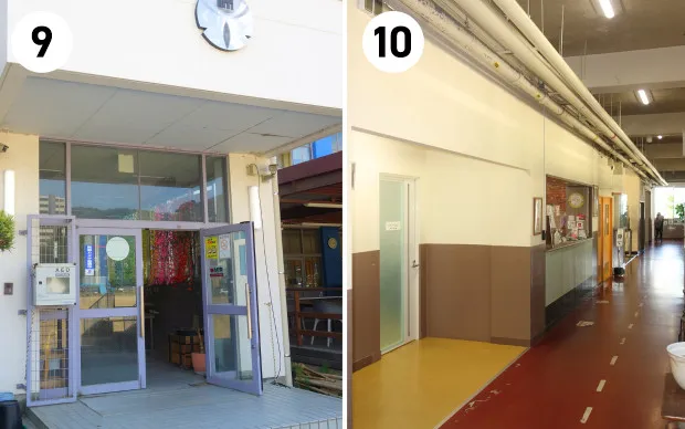 Sumo experience in a real Dohyo arena!