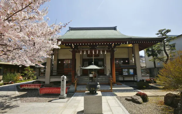 【お寺で朝ヨガ】堺で過ごす心と体を整える特別な時間（グループ貸切プラン）