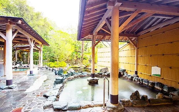 大阪的温泉旅館裡體驗「一日來回午餐＋天然温泉露天風呂」