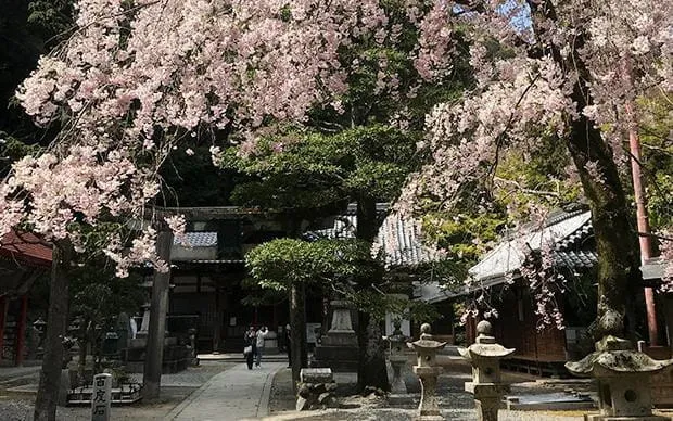 [大阪四季自然风景] 箕面登山之旅