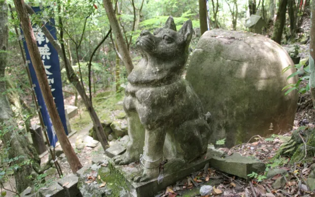 犬鸣山 七宝泷寺内省吾身 护摩祈祷体验