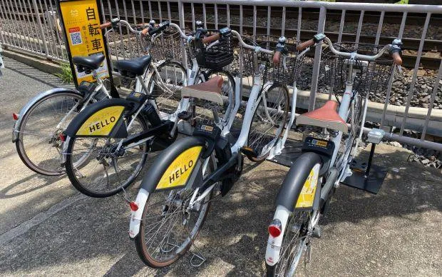 Cycling & Cultural experience tour of Matsubara City