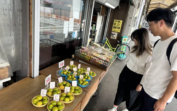 Kishiwada Castle Period Experience Tour