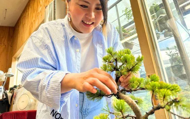 以池田的大自然療癒心靈，盆栽和寺院的體驗之旅