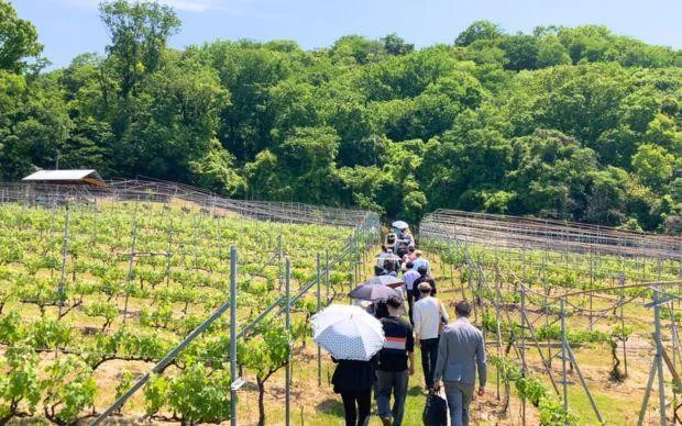 Asuka wine and flavors of Habikino tour