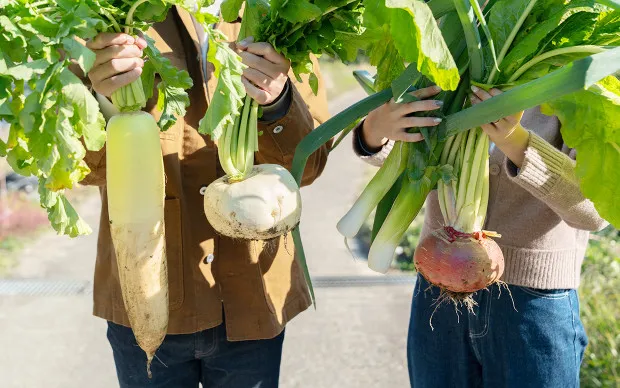 於枚方的山林間！採收時令蔬菜與品嚐當地的蔬菜健康午餐、使用喜歡的香草製作香皂與選擇花材製作原創的花藝瓶