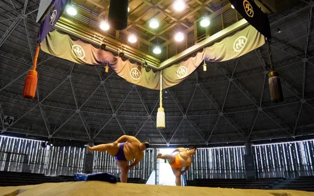 SUMO PROJECT - Sumo Experience Program