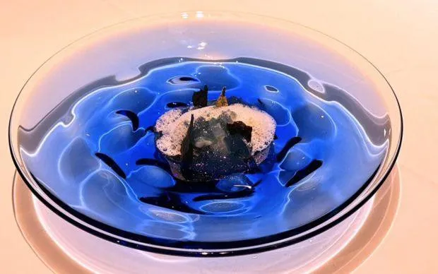 Savour Osaka at OSAKA TERROIR; The Gastronomic Delights of Naniwa Italian Cuisine