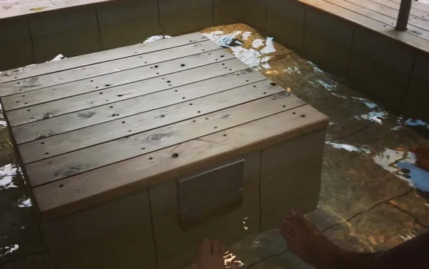 [大阪四季自然风景] 箕面登山之旅