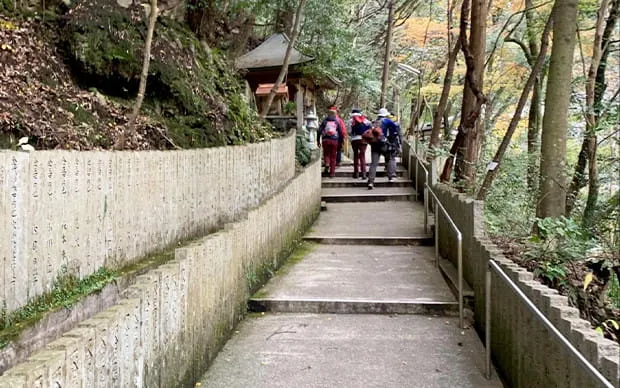 犬鸣山 七宝泷寺内省吾身 护摩祈祷体验