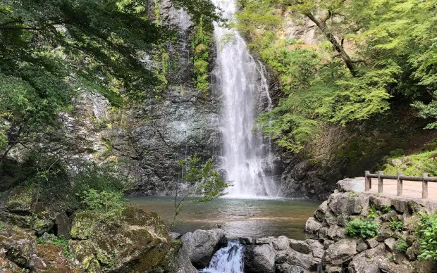 Minoh Waterfall Hiking & Katsuoji Temple Tour