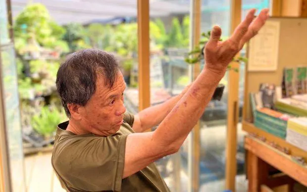 以池田的大自然療癒心靈，盆栽和寺院的體驗之旅