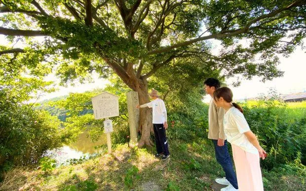A stone’s throw from Kansai Airport: Seaside cycling and marine activity tour in Misakicho