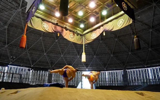 SUMO PROJECT - Sumo Experience Program