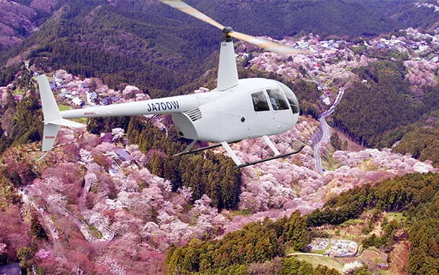 從「天空的特等席」眺望絕㬌的天空巡航