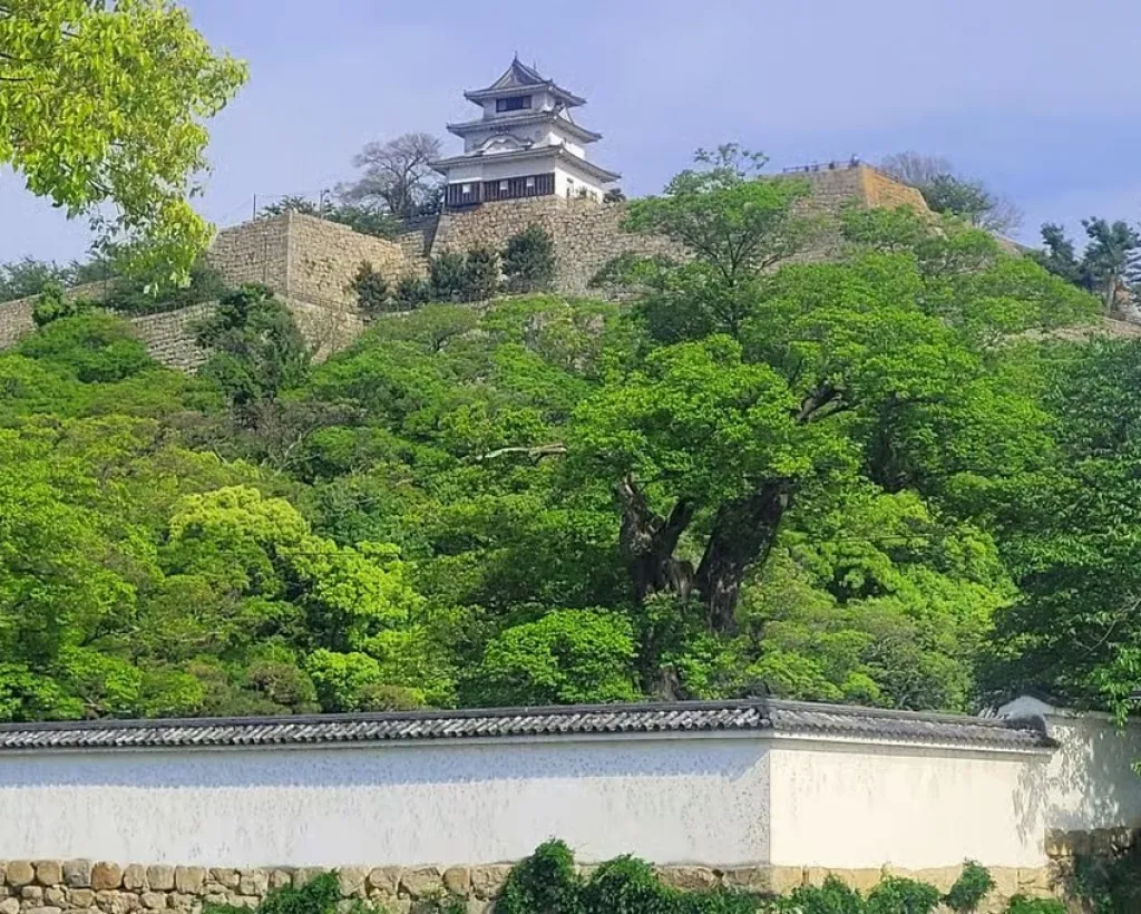 Kagawa: Marugame Castle Tour - One of 12 Original Castles#4