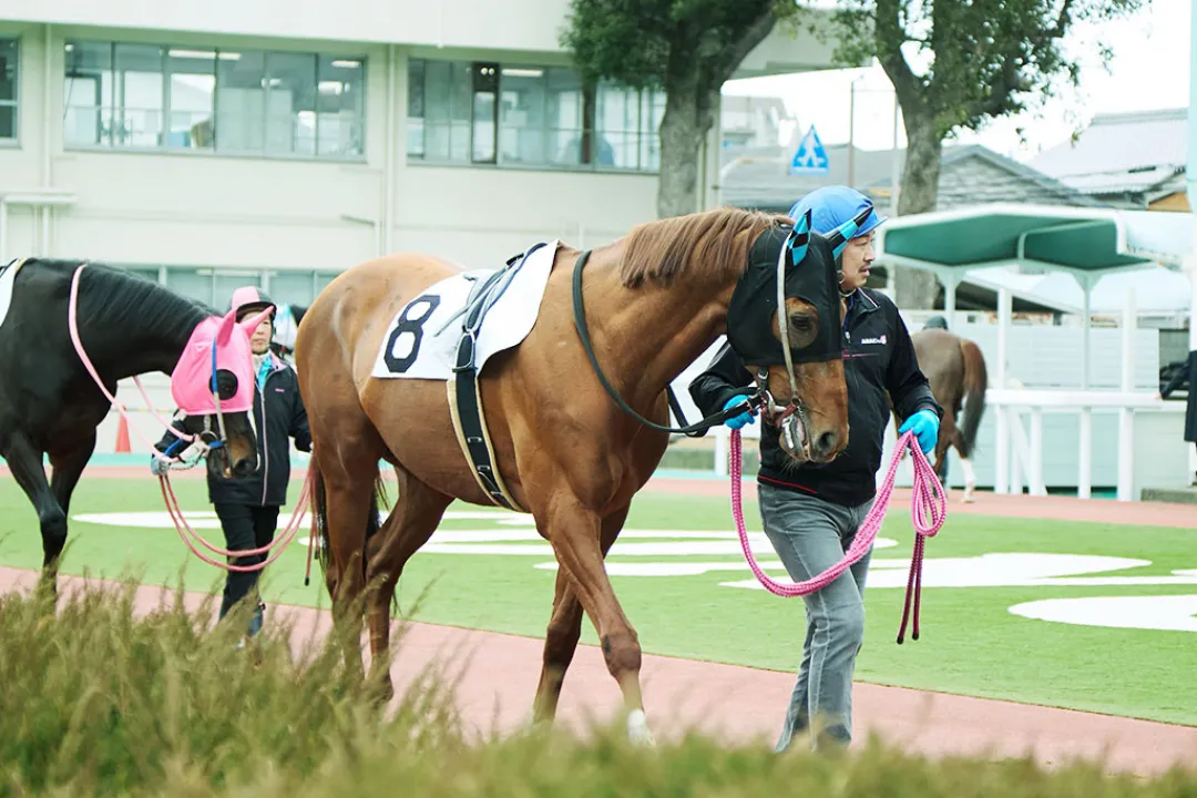 尼崎怀旧之旅～沉醉于昭和复古白日饮酒×赛马体验！～#3