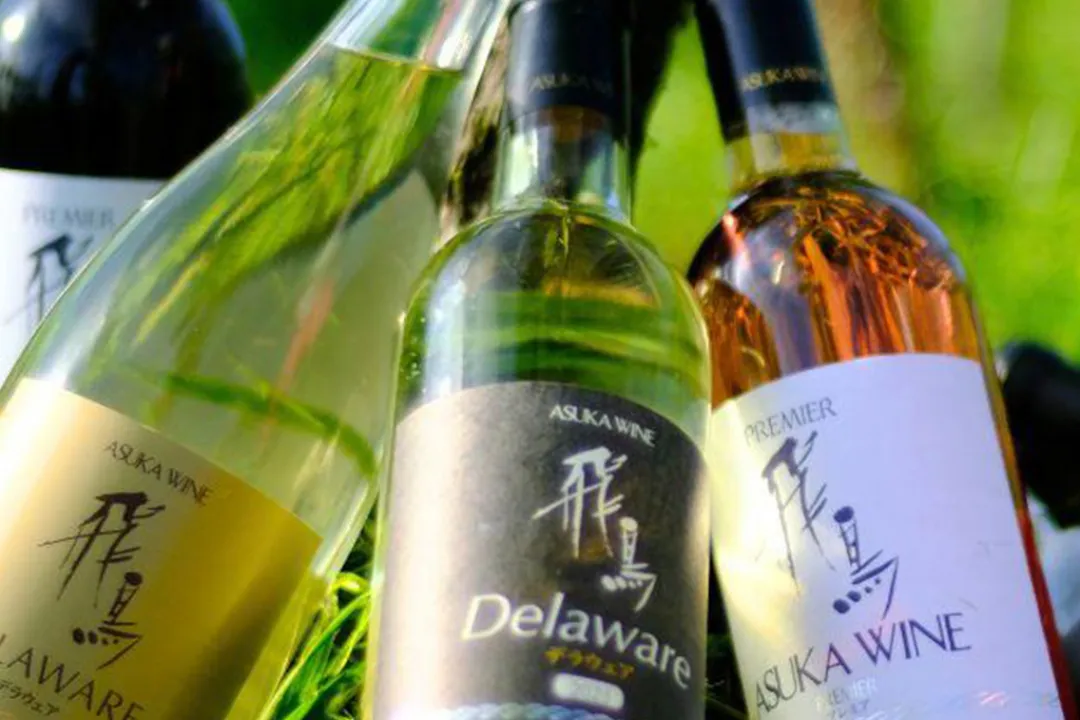 Asuka wine and flavors of Habikino tour#1