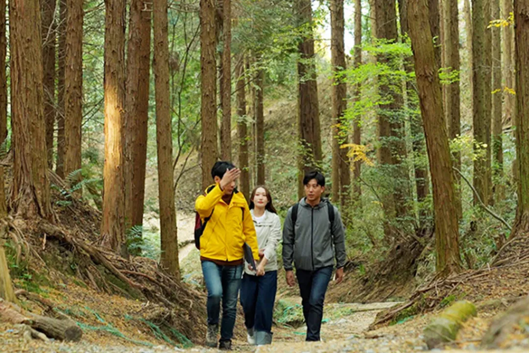 Mt. Kunimi Hiking Tour at Hirakata, with a panoramic view of Kyoto and Osaka#2