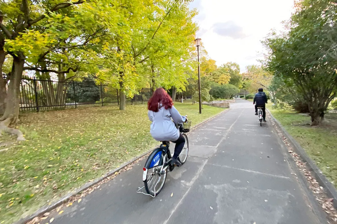 Tea ceremony and Zen tour: In the footsteps of Sen no Rikyu#5