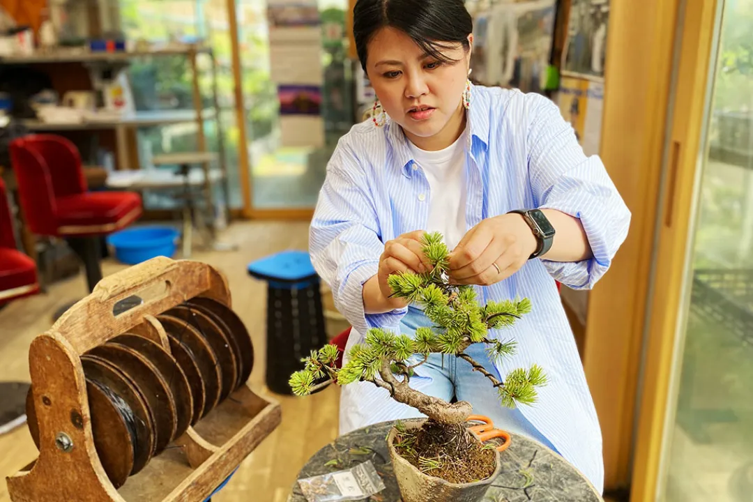以池田的大自然療癒心靈，盆栽和寺院的體驗之旅#5