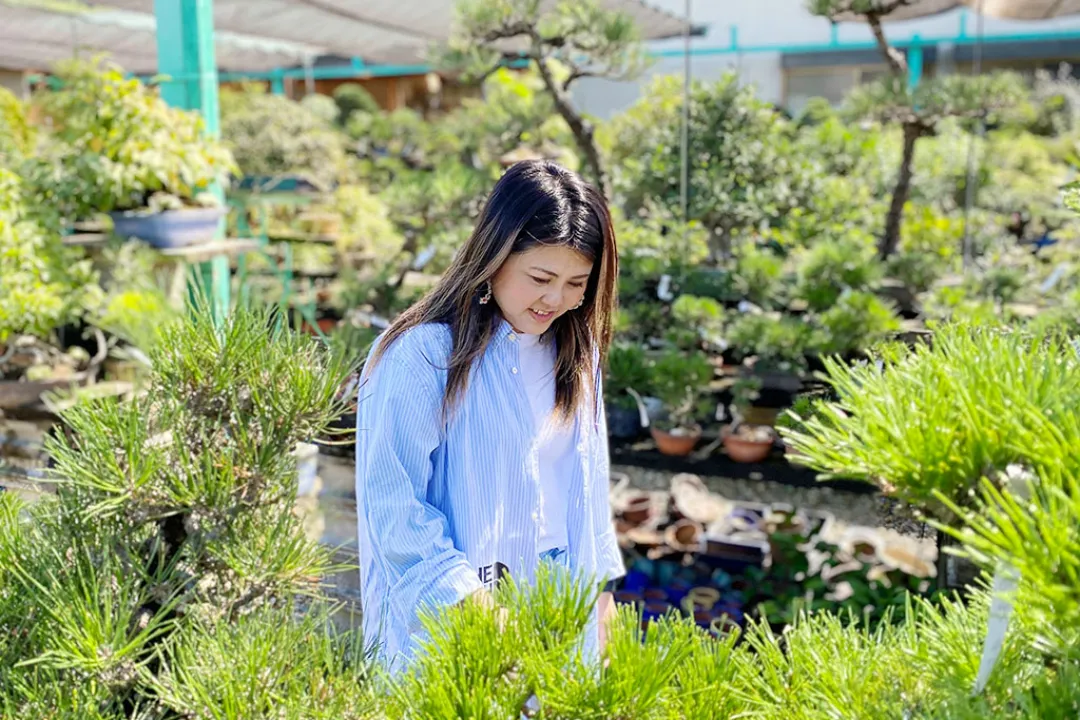 以池田的大自然療癒心靈，盆栽和寺院的體驗之旅#4