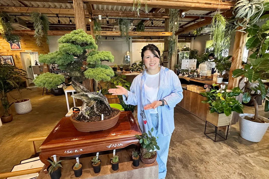 以池田的大自然療癒心靈，盆栽和寺院的體驗之旅#3