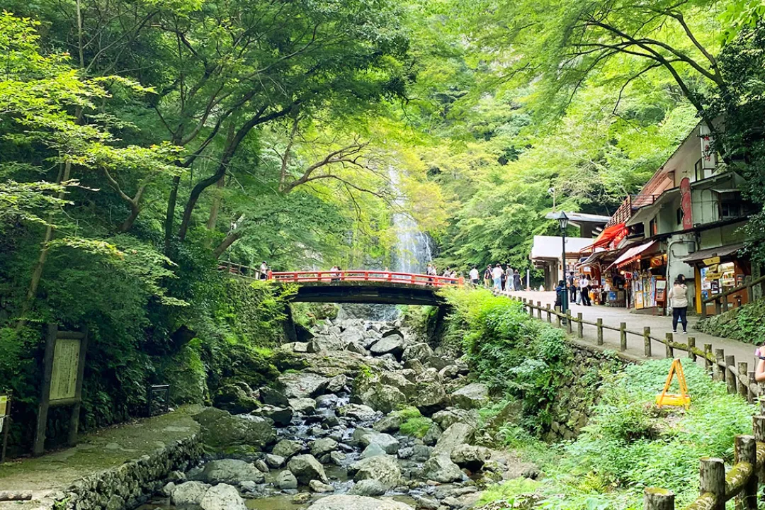 箕面的绝景和让身心灵平静的瑜伽体验旅游#2