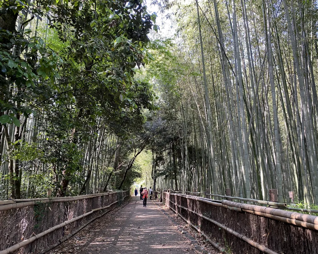 Kyoto: Highlights of Arashiyama in 2 hours - Guided tour#2