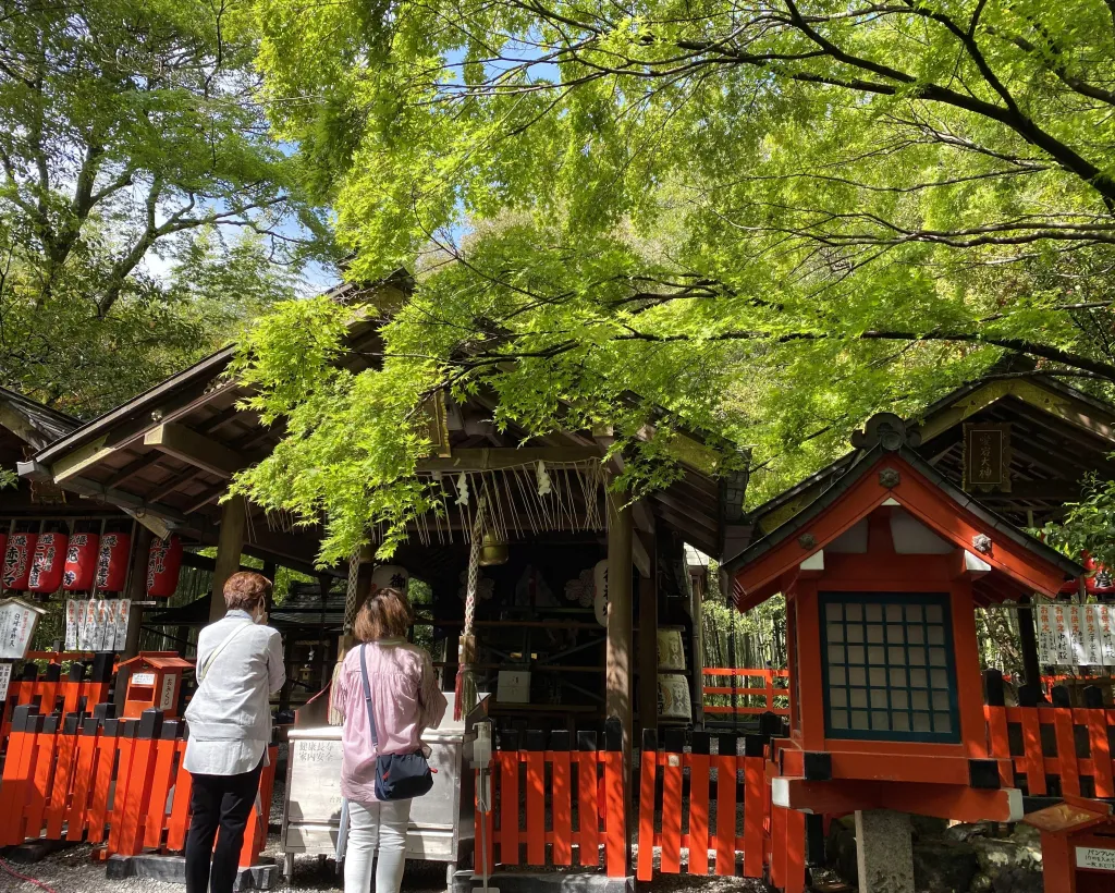 Kyoto: Highlights of Arashiyama in 2 hours - Guided tour#3