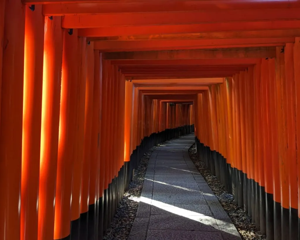 Kyoto: Top Sights Guided Tour - Gion, Kinkaku, Fushimi, Nijo#5