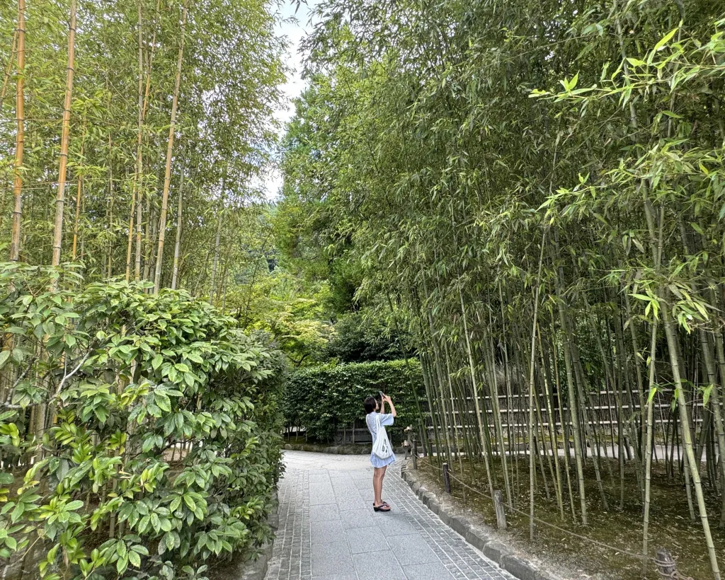 Kyoto: Ginkakuji, Silver Pavilion Guided Tour in 1 Hour#3