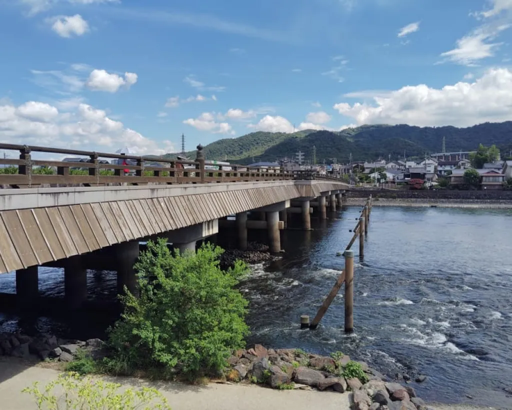 Kyoto: Enjoy Byodoin Temple and Tea Sweets - 90 Min Tour#3