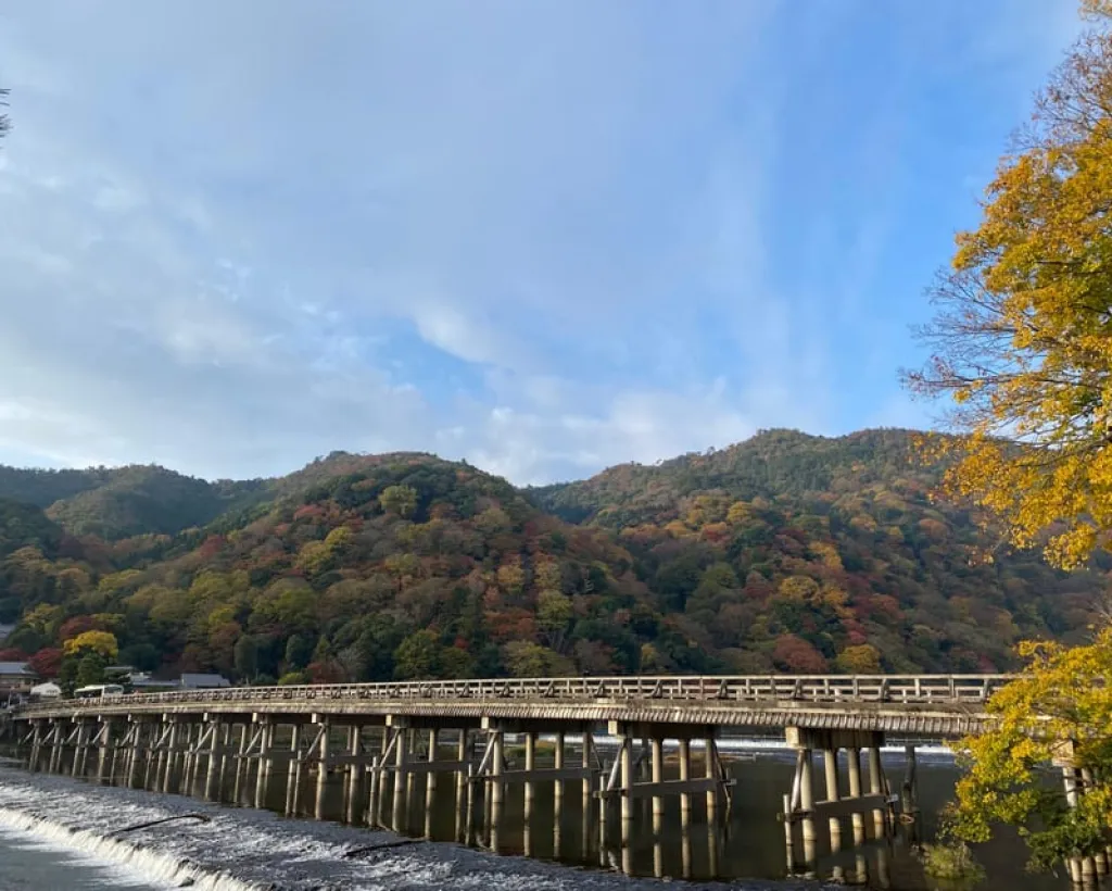 Kyoto: Arashiyama Guided Tour, Bamboo, Monkey, Zen Temple#4