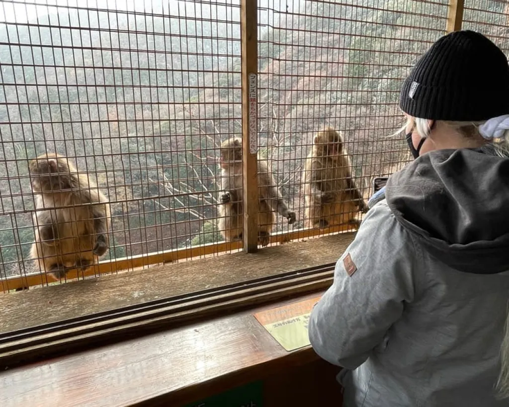 Kyoto: Arashiyama Guided Tour, Bamboo, Monkey, Zen Temple#2