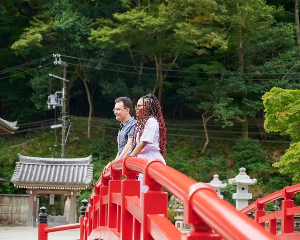 Osaka: Scenic Hiking Guided Tour to Minoo Waterfall - 2.5h#4