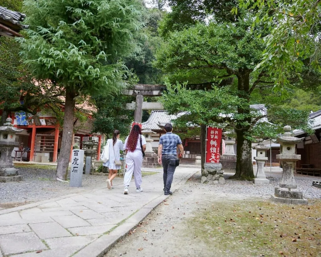 Osaka: Scenic Hiking Guided Tour to Minoo Waterfall - 2.5h#3