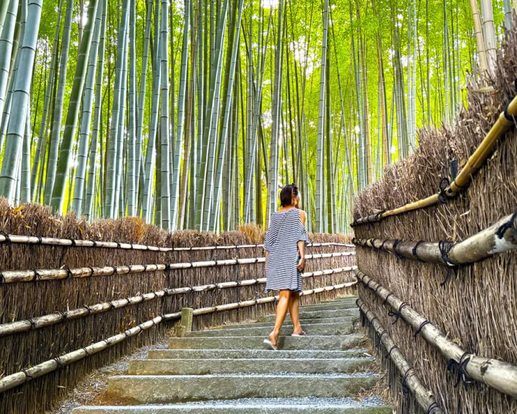 Kyoto: 100% Private Custom Walking Tour (4/8 Hrs)#2