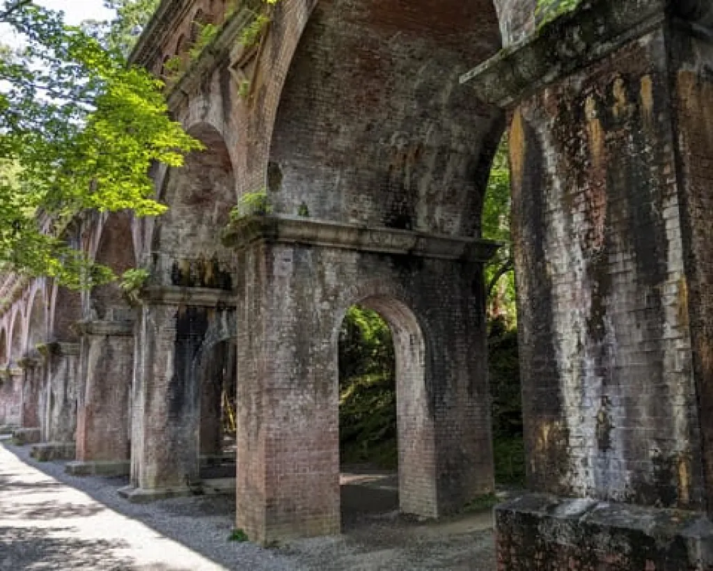 Kyoto: 100% Private Custom Walking Tour (4/8 Hrs)#5